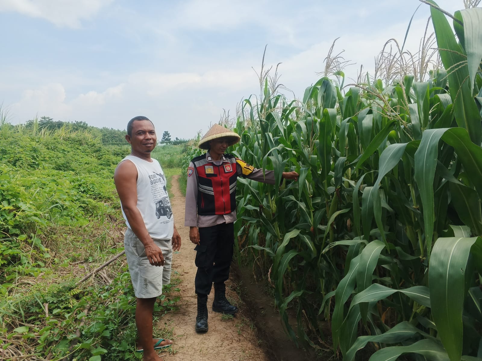 Anggota Polsek Batujaya melakukan Pengecekan Tanaman Jagung di Wilayah Kecamatan Batujaya